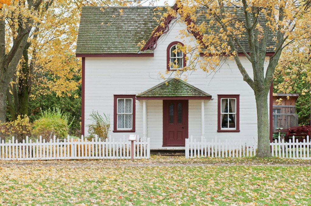 Les Meilleures Pratiques pour Protéger Votre Maison des Nuisibles en 2025