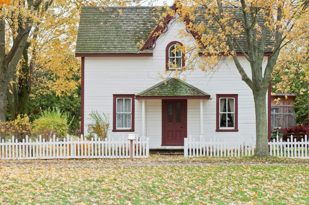 Les Meilleures Pratiques pour Protéger Votre Maison des Nuisibles en 2025